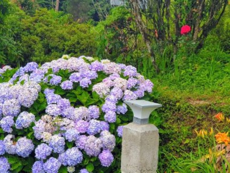 Delo Park-4